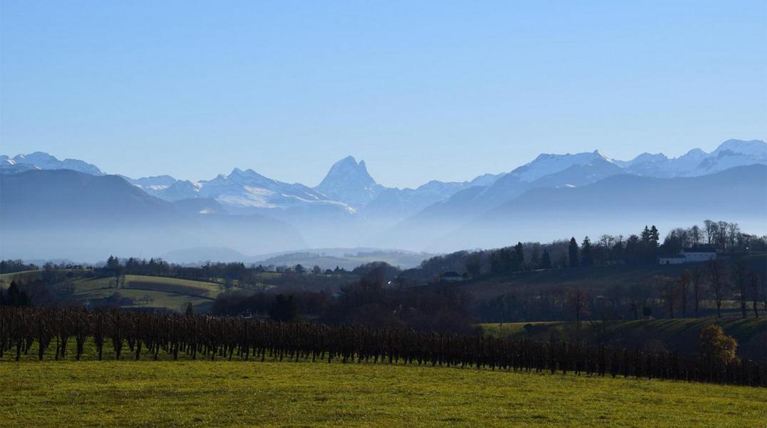 Les environs de la chambre d'hôtes Maison Canterou Monein